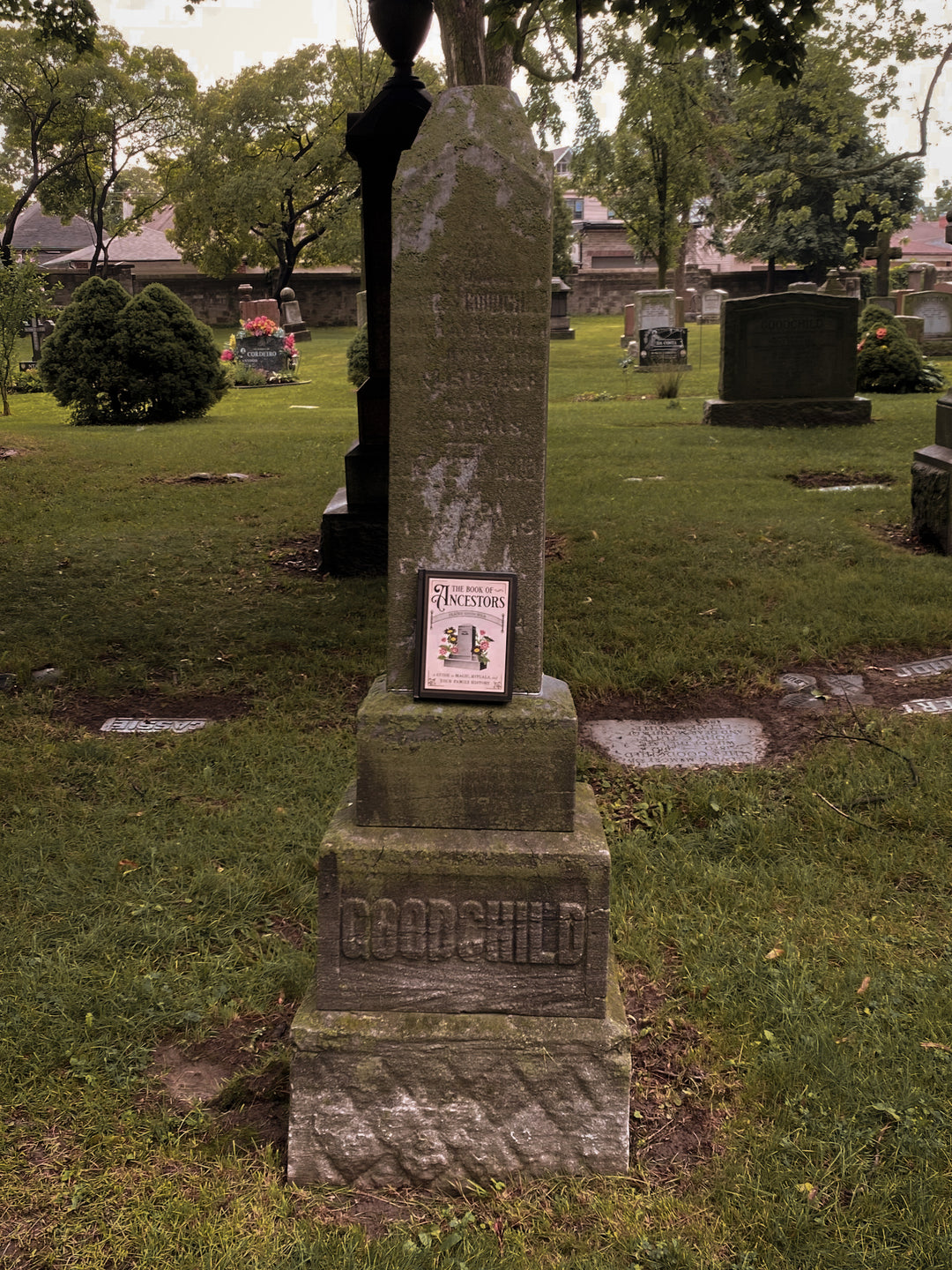 Cemeteries: Cities of the Dead - Analyzing Gravestones