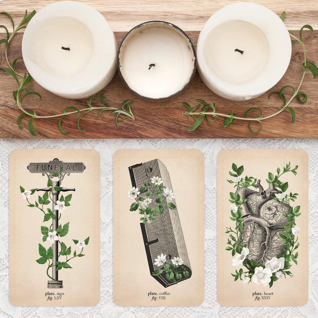 Tarot Deck Blessing
