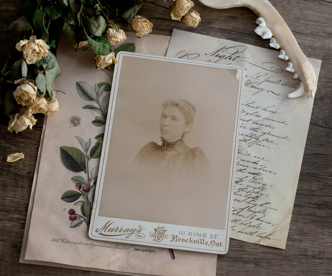 vintage photograph of a woman on a brown background for a blog post about the best genealogy websites