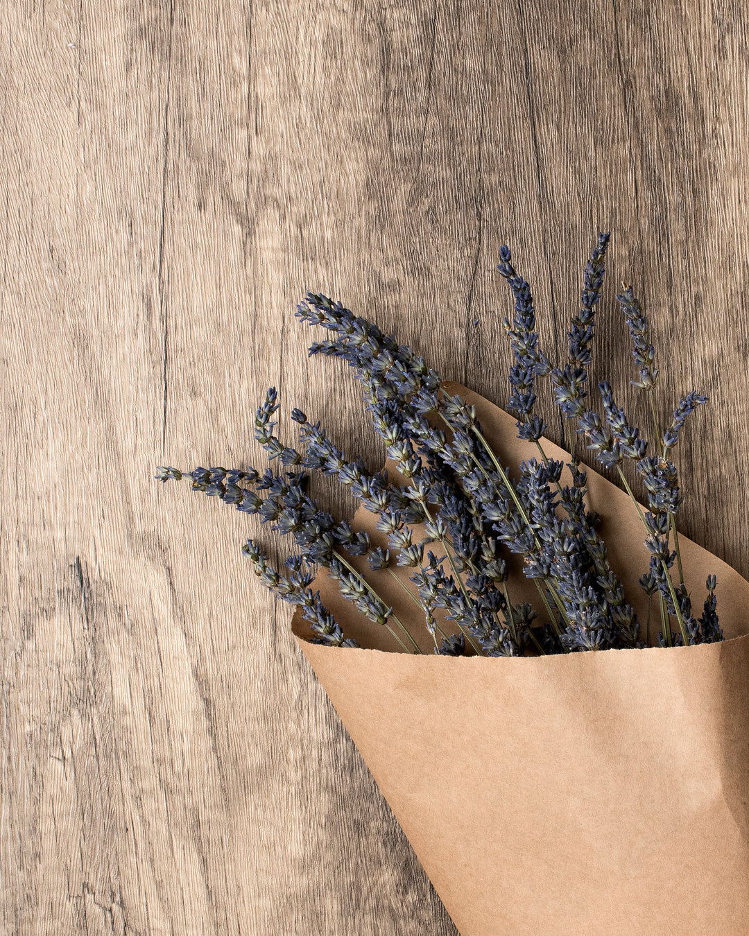 Five Essential Herbs for Beginner Witches
