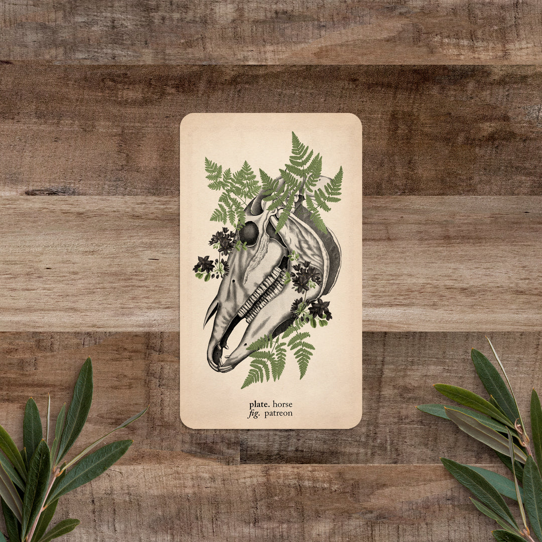 PATREON Single Card: Horse - Black and the Moon