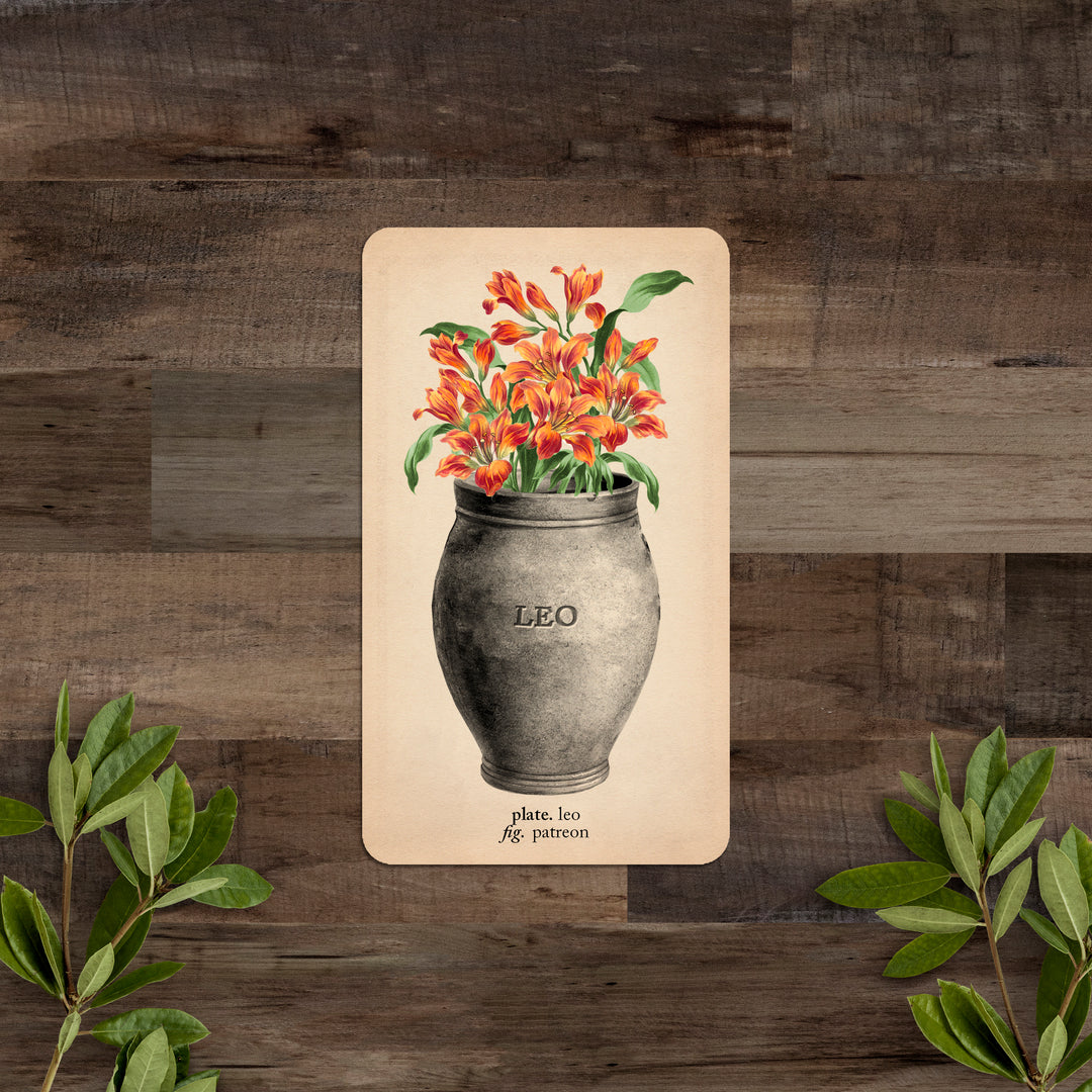 PATREON Single Card: Leo - Black and the Moon