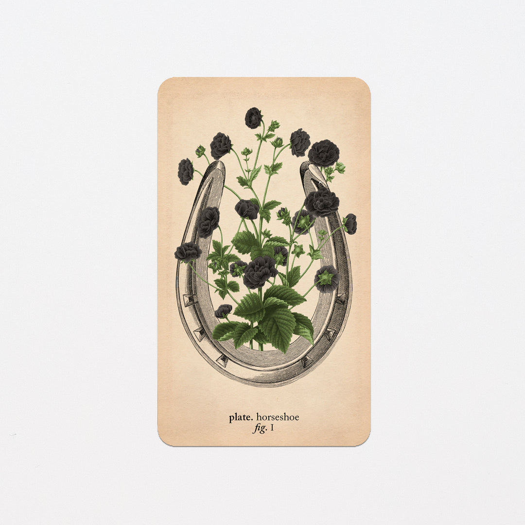 Memento Mori Oracle Replacement Cards