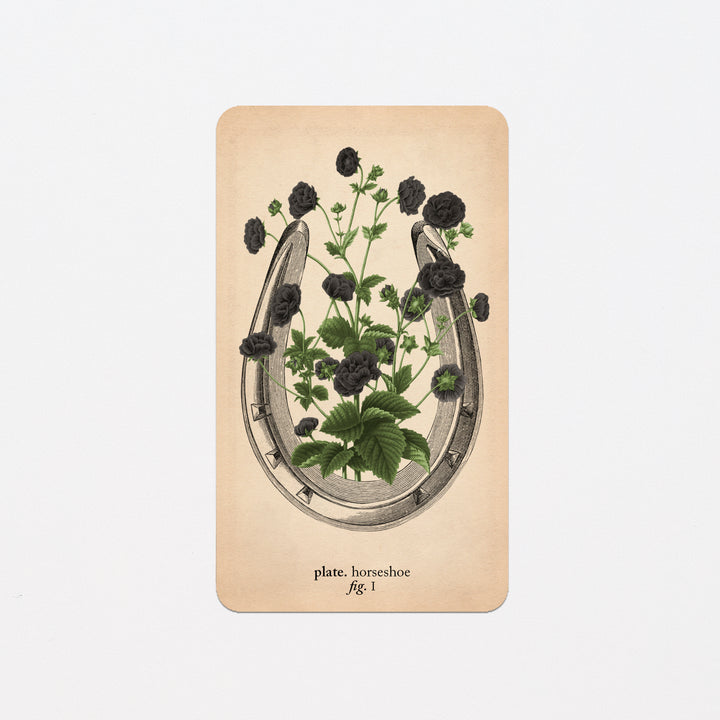 Memento Mori Oracle Replacement Cards