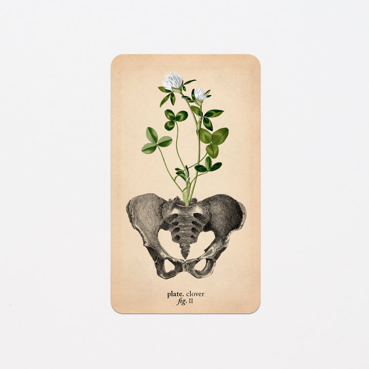 Memento Mori Oracle Replacement Cards