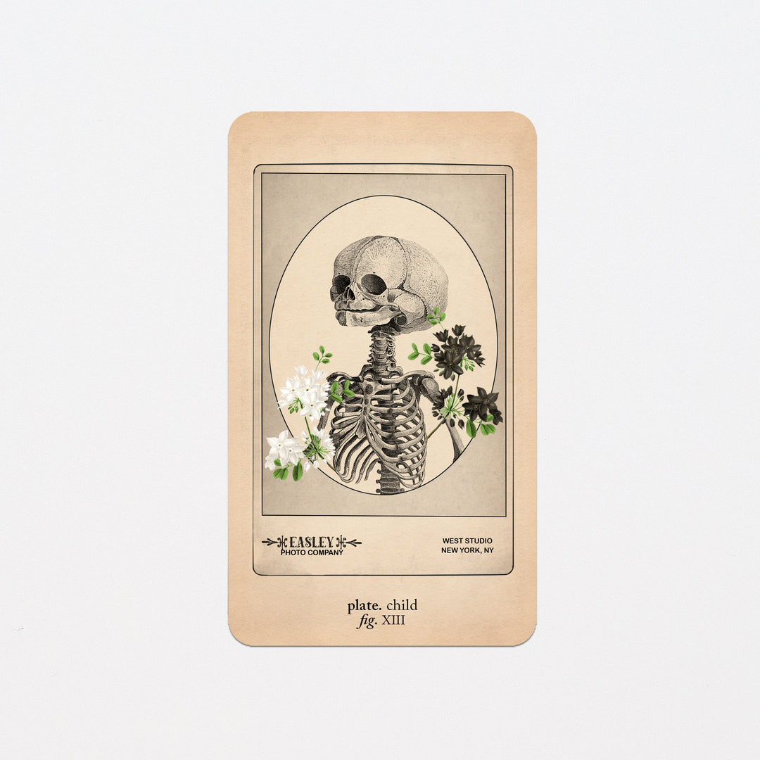 Memento Mori Oracle Replacement Cards