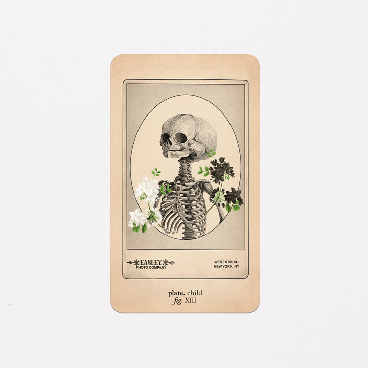 Memento Mori Oracle Replacement Cards