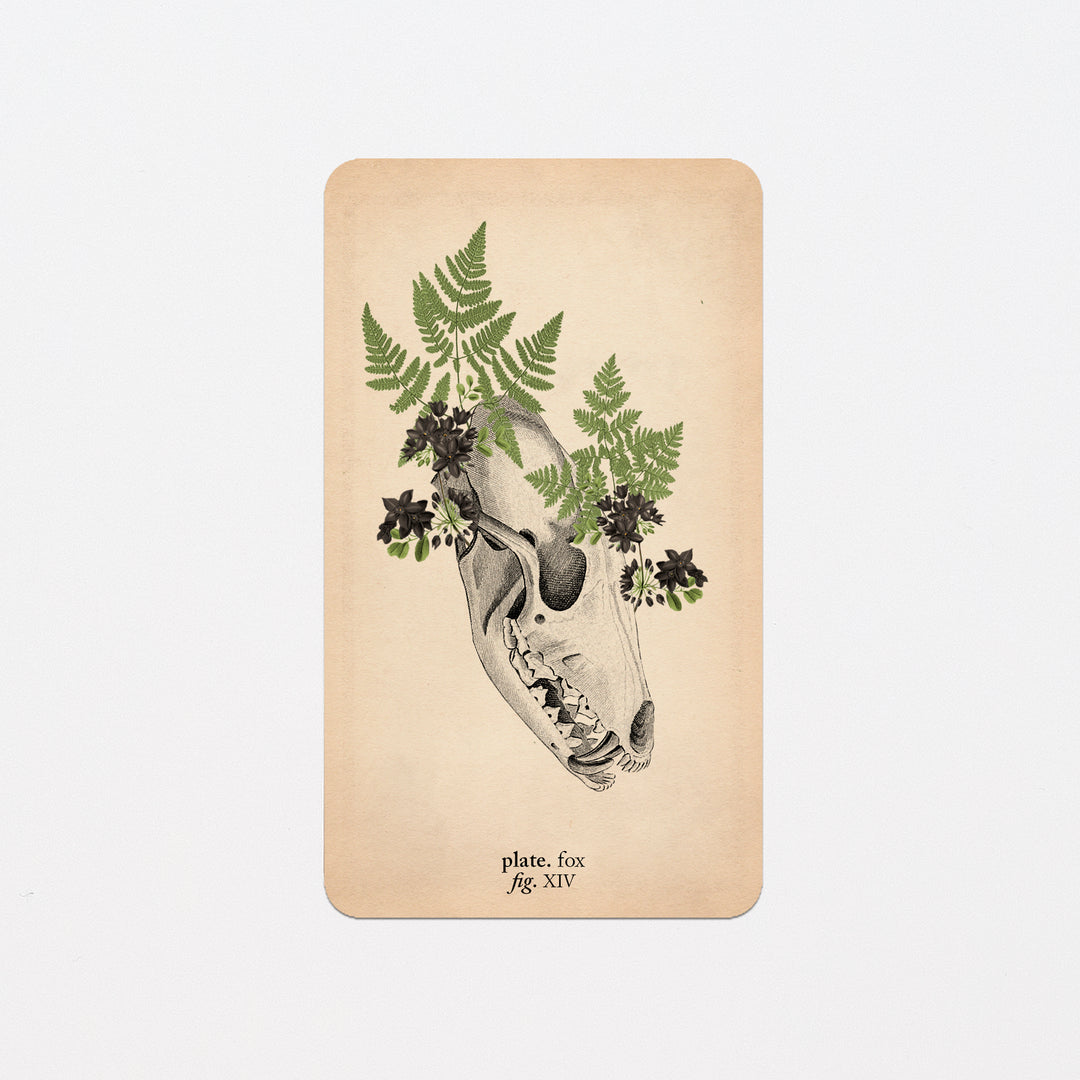 Memento Mori Oracle Replacement Cards