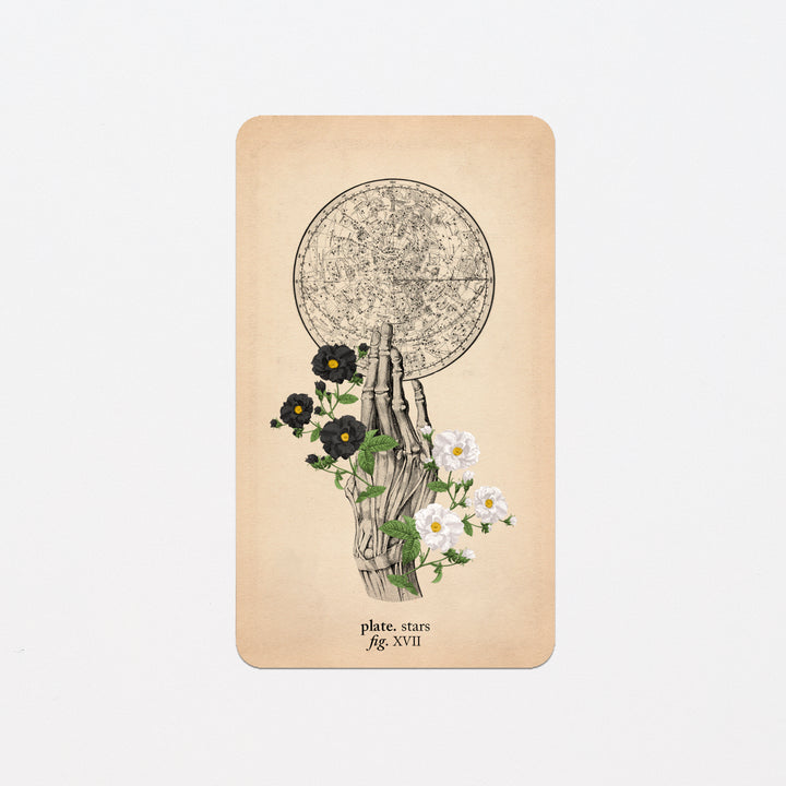 Memento Mori Oracle Replacement Cards