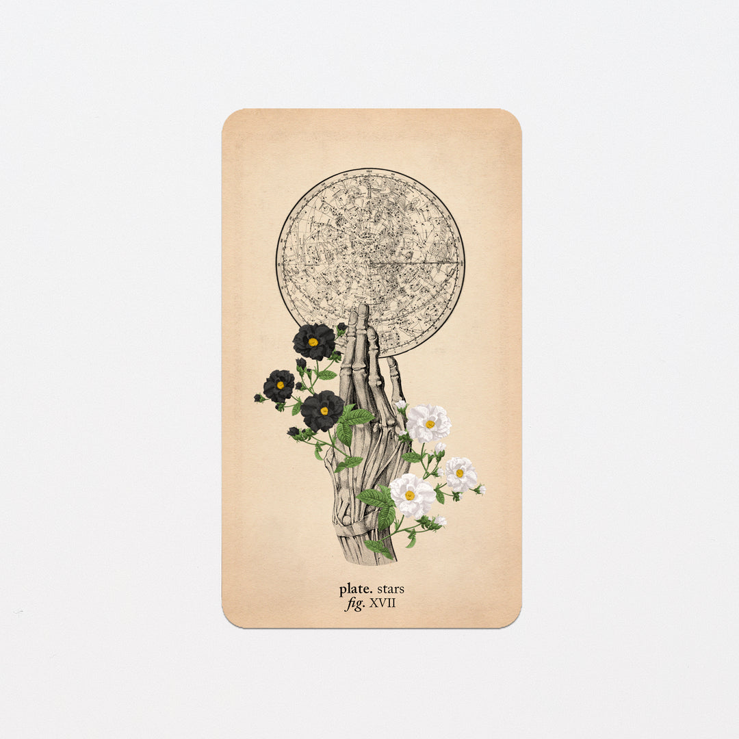 Memento Mori Oracle Replacement Cards