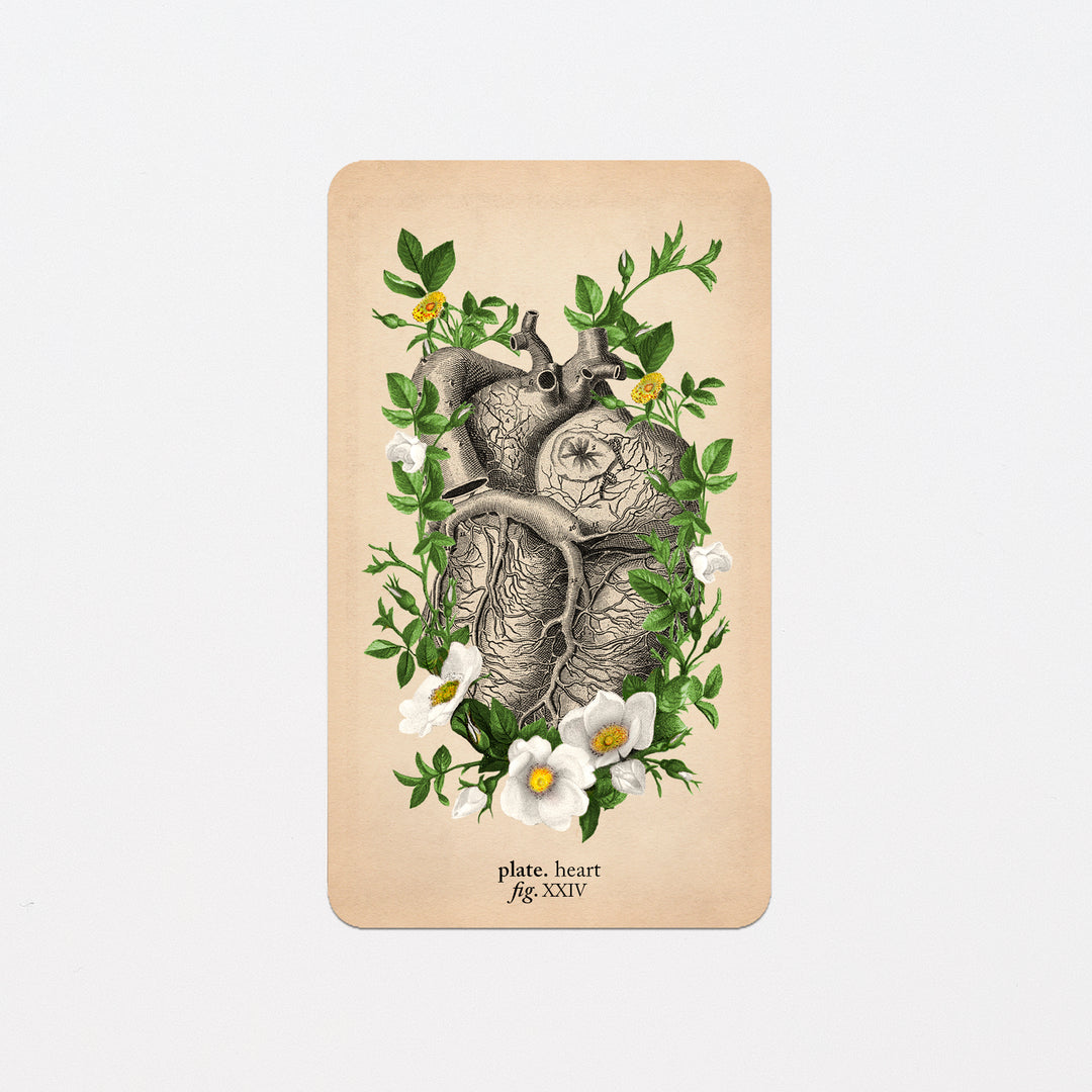 Memento Mori Oracle Replacement Cards