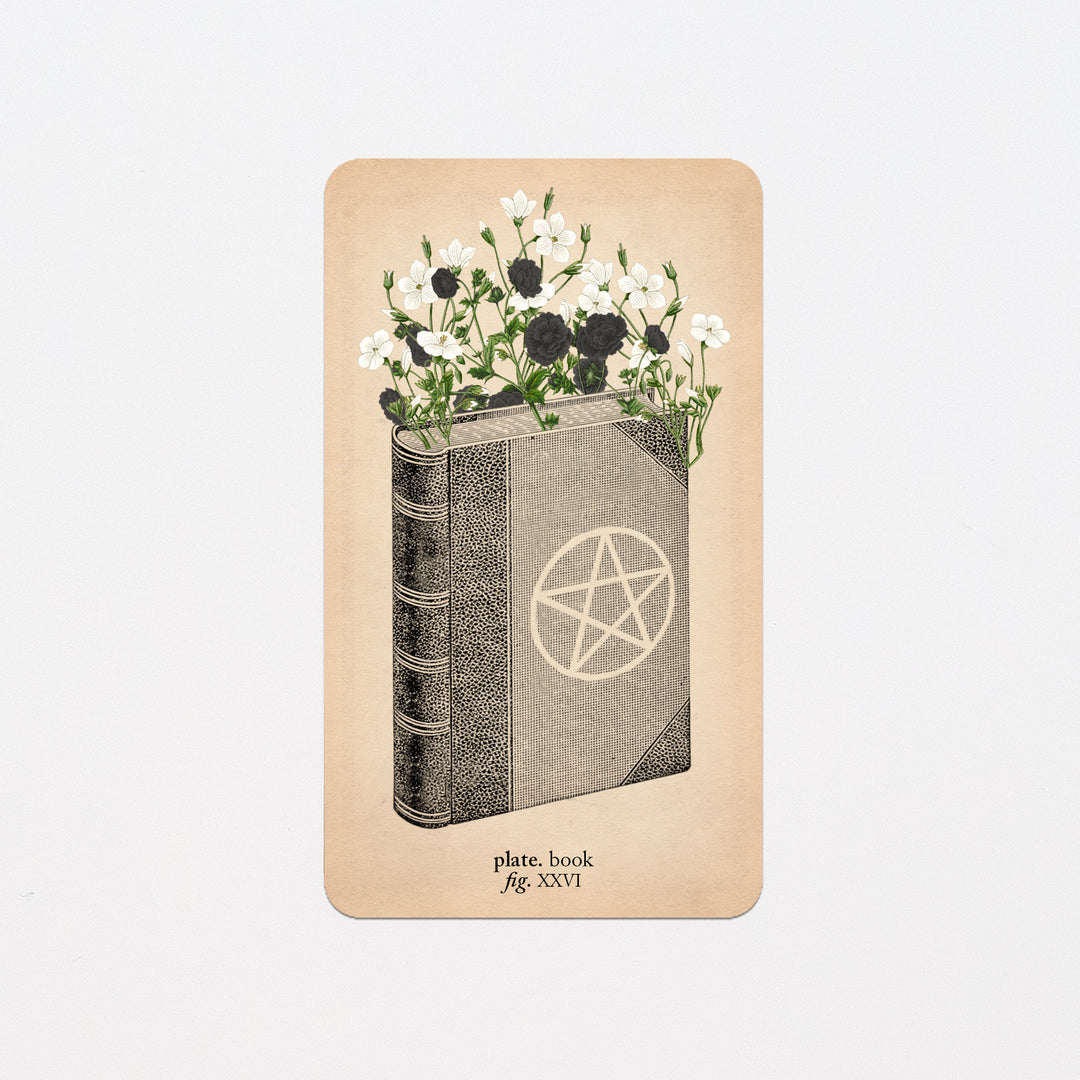 Memento Mori Oracle Replacement Cards