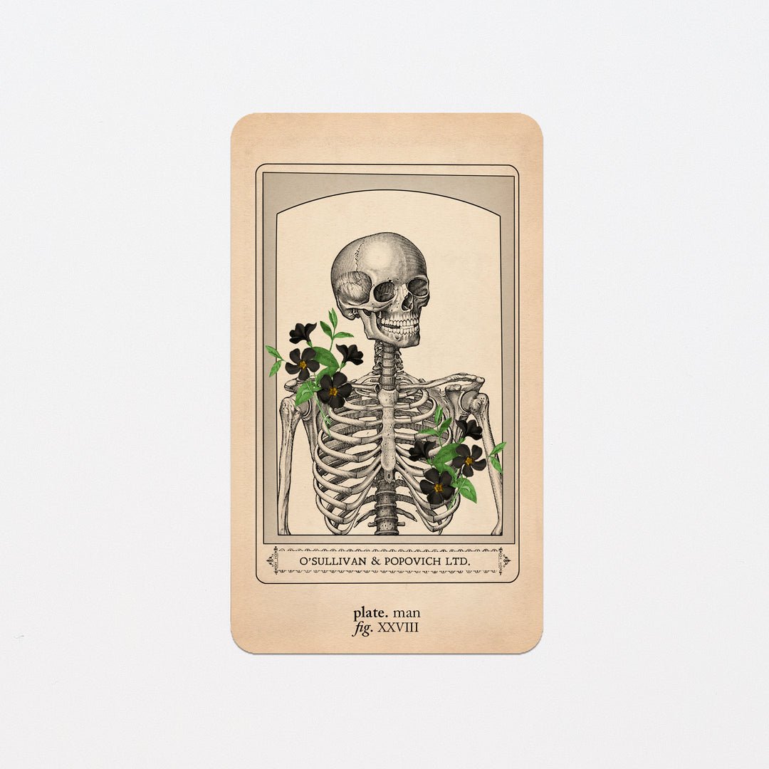 Memento Mori Oracle Replacement Cards