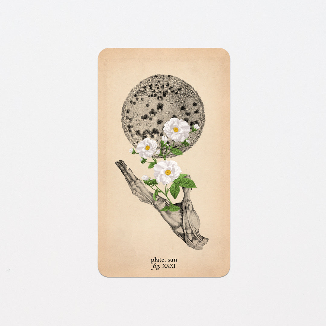 Memento Mori Oracle Replacement Cards