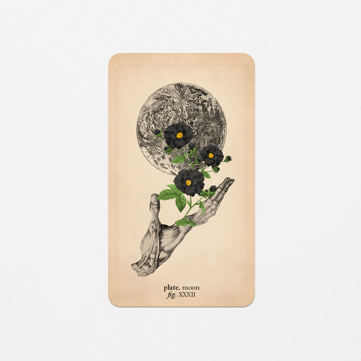 Memento Mori Oracle Replacement Cards