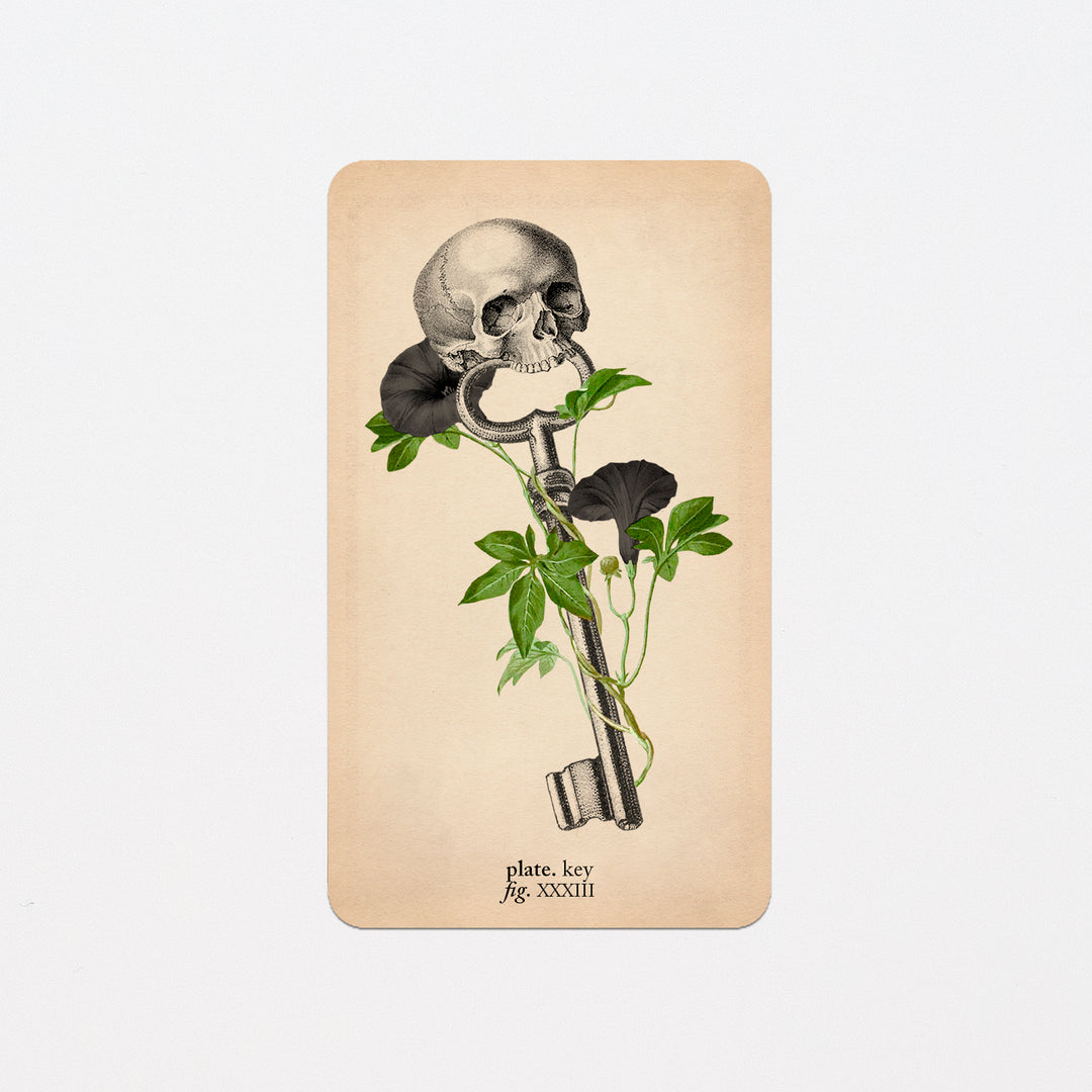 Memento Mori Oracle Replacement Cards