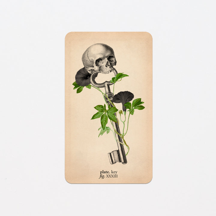 Memento Mori Oracle Replacement Cards