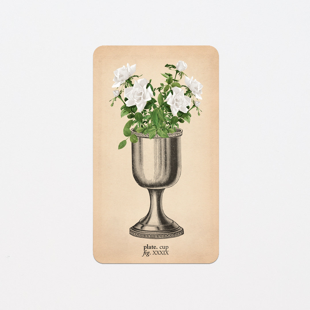 Memento Mori Oracle Replacement Cards