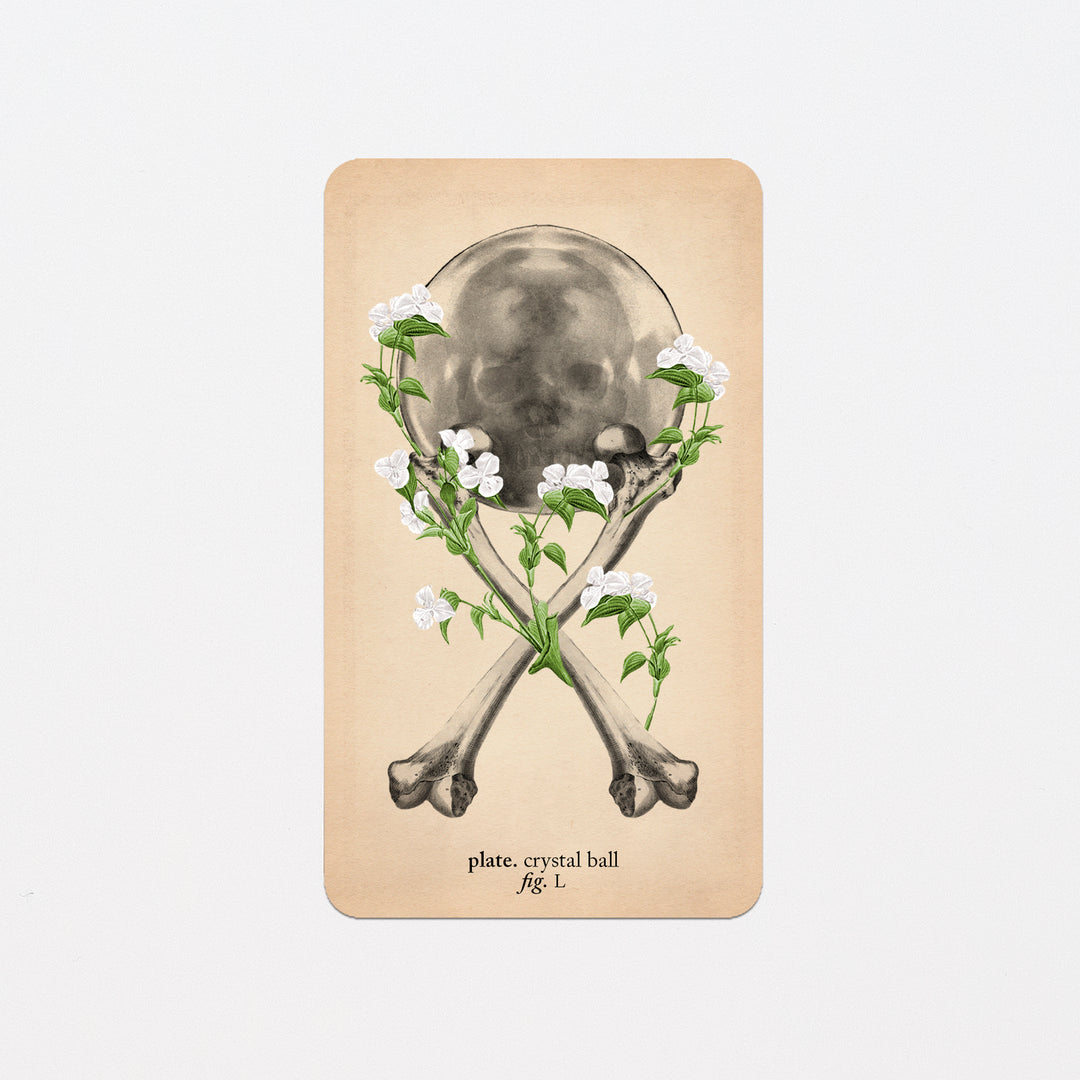 Memento Mori Oracle Replacement Cards