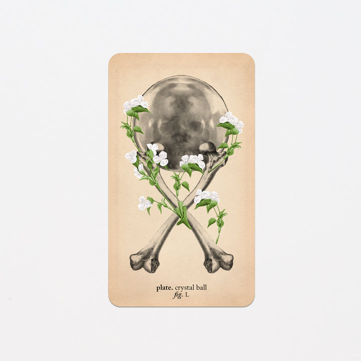 Memento Mori Oracle Replacement Cards