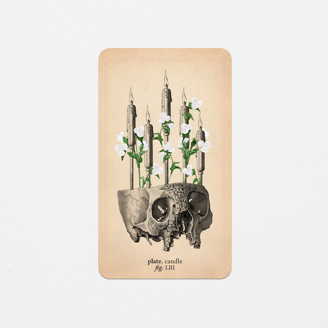 Memento Mori Oracle Replacement Cards