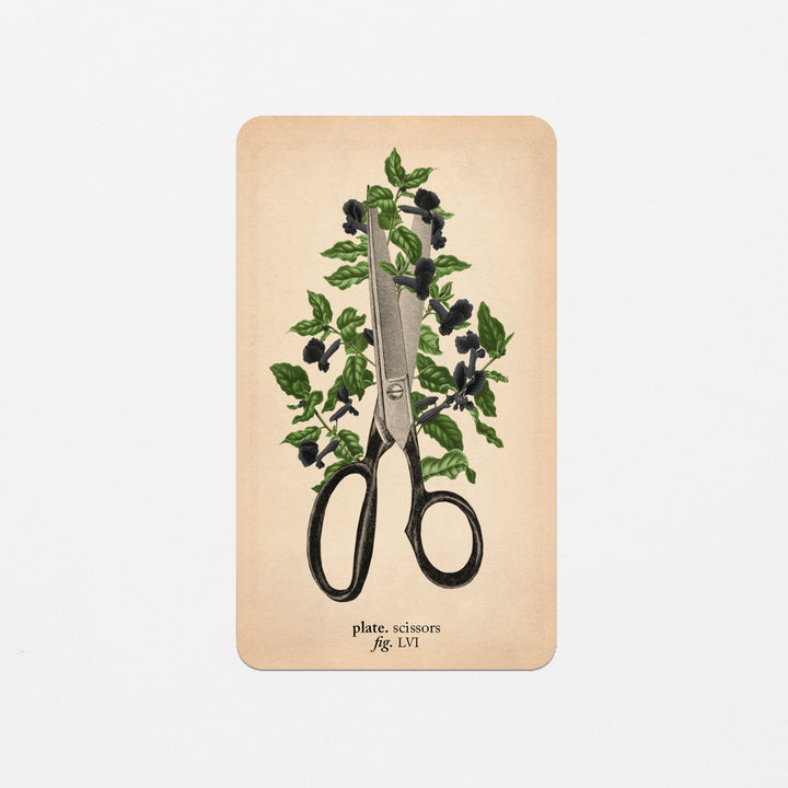 Memento Mori Oracle Replacement Cards
