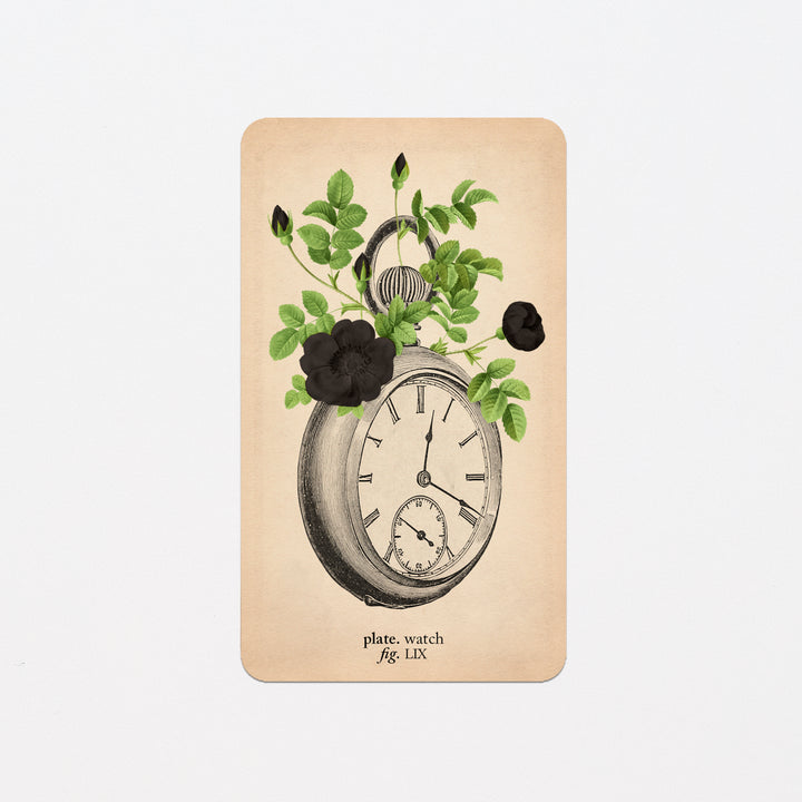 Memento Mori Oracle Replacement Cards