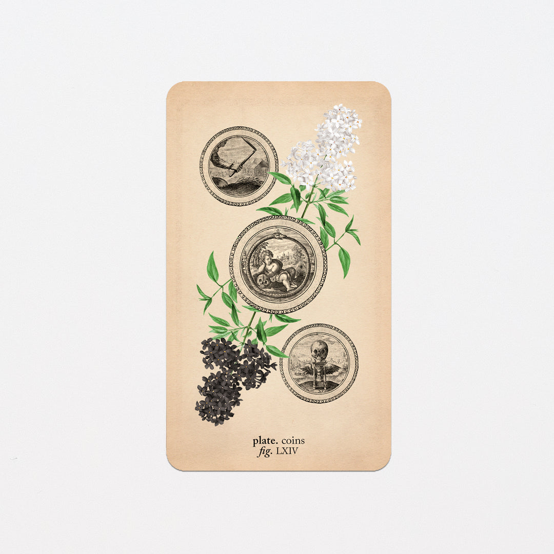 Memento Mori Oracle Replacement Cards