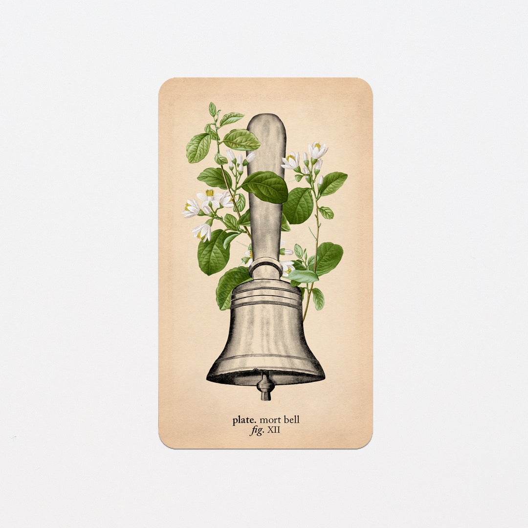 Memento Mori Oracle Replacement Cards