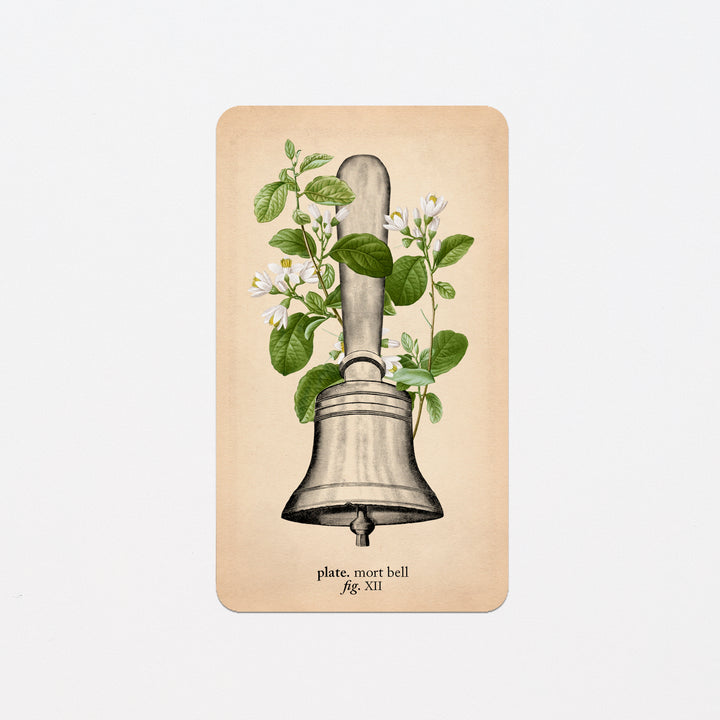 Memento Mori Oracle Replacement Cards