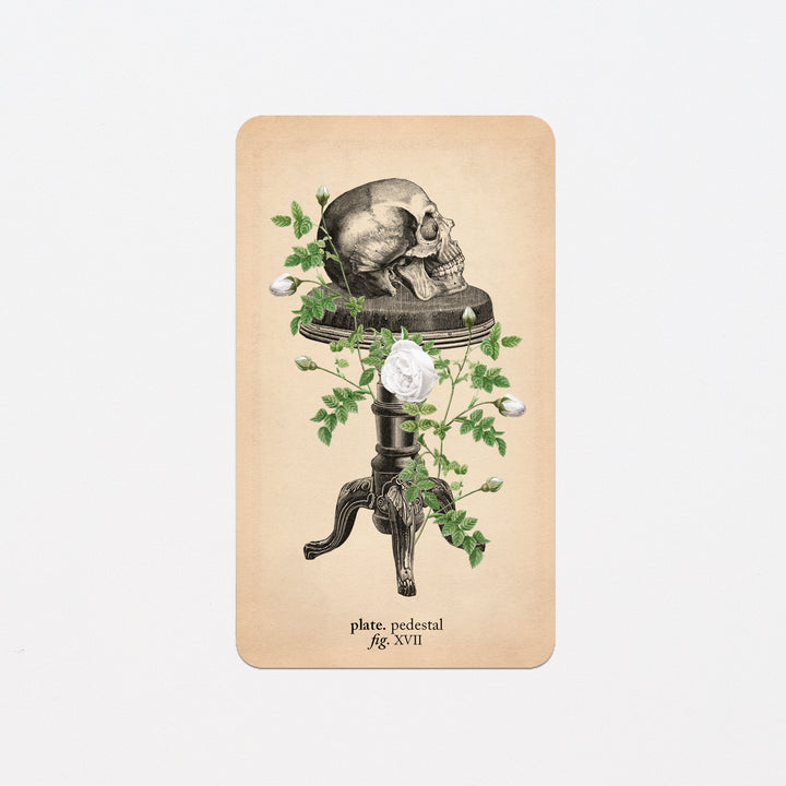 Memento Mori Oracle Replacement Cards