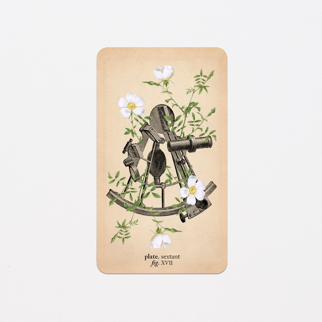 Memento Mori Oracle Replacement Cards