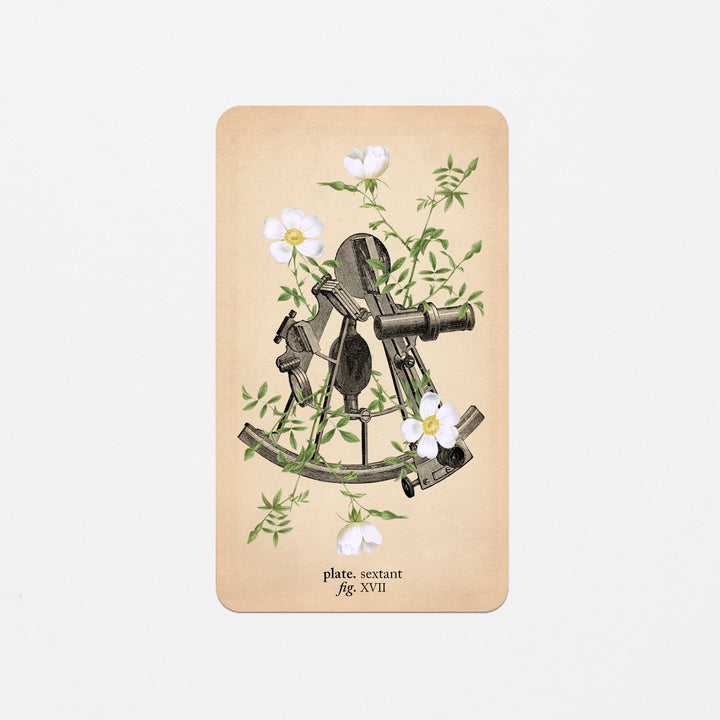 Memento Mori Oracle Replacement Cards