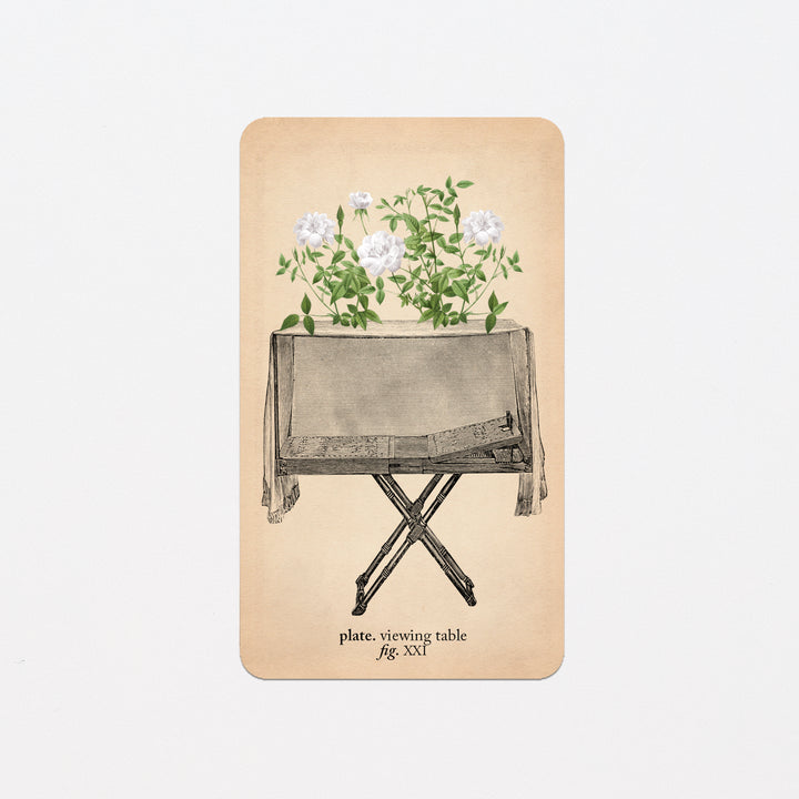 Memento Mori Oracle Replacement Cards