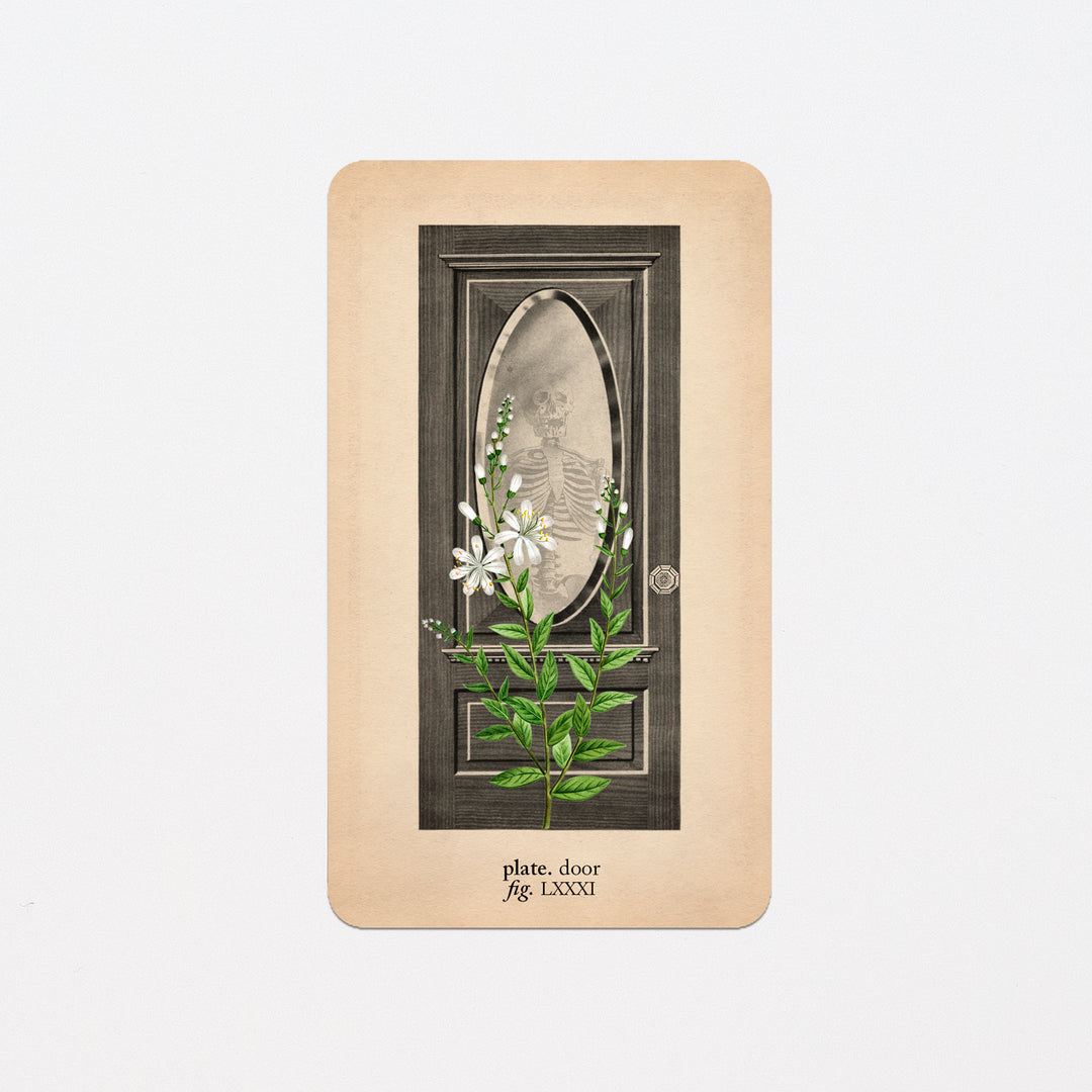 Memento Mori Oracle Replacement Cards