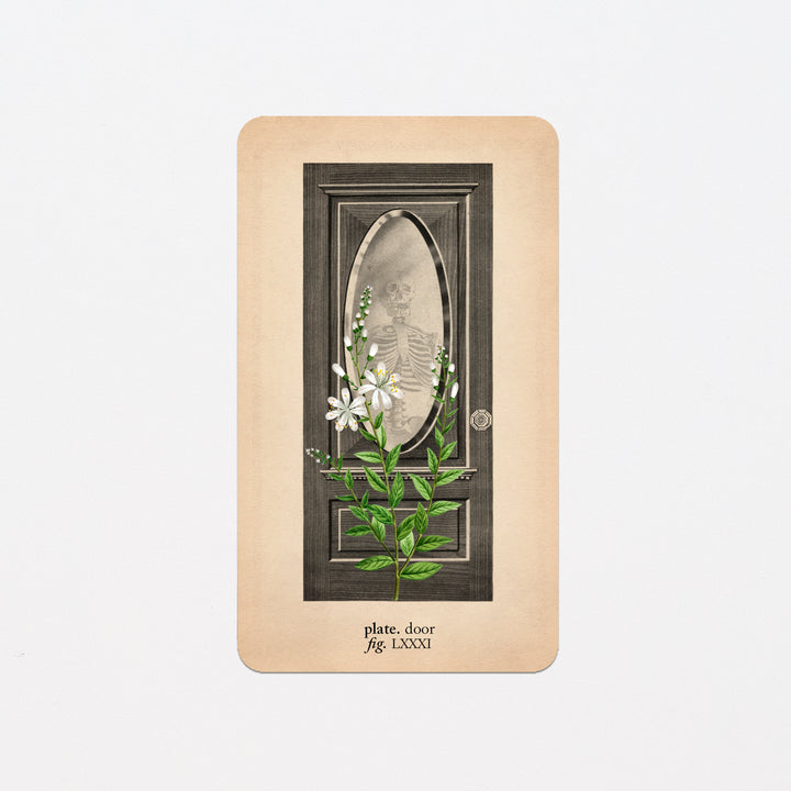 Memento Mori Oracle Replacement Cards