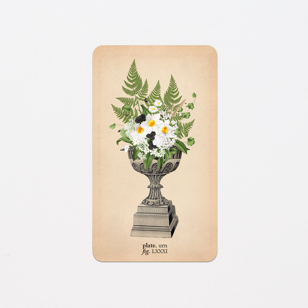 Memento Mori Oracle Replacement Cards