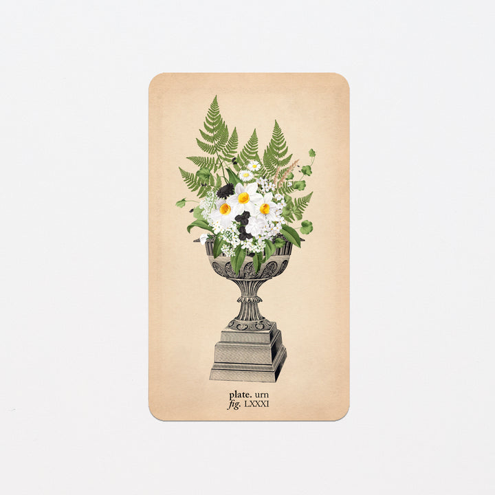 Memento Mori Oracle Replacement Cards