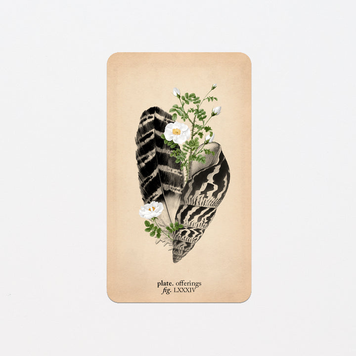 Memento Mori Oracle Replacement Cards