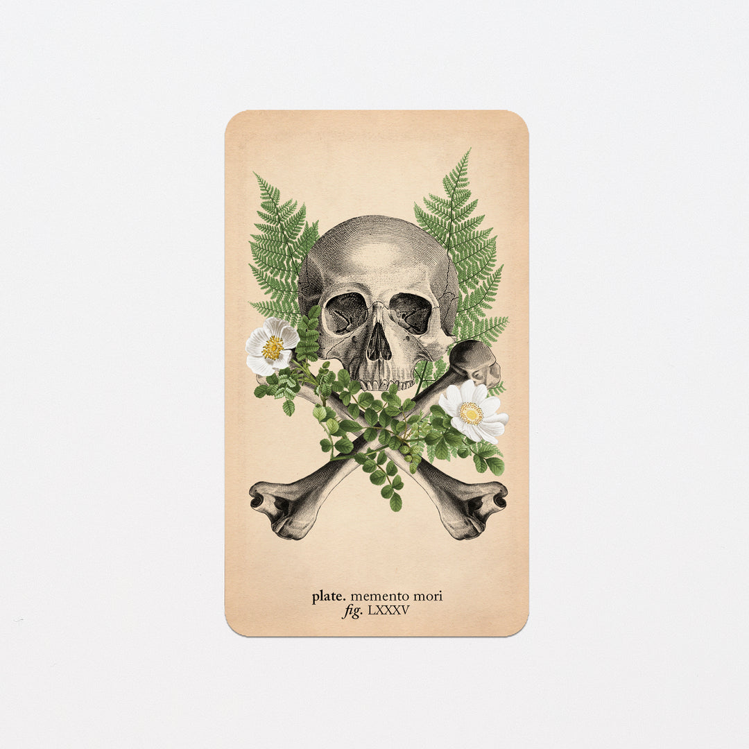 Memento Mori Oracle Replacement Cards