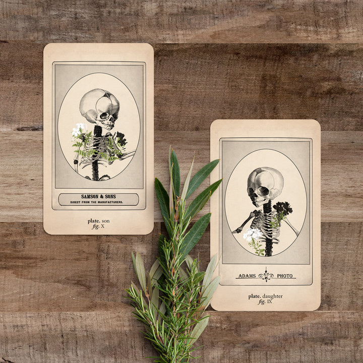 Memento Mori Oracle: Ancestors & Advisors - Black and the Moon