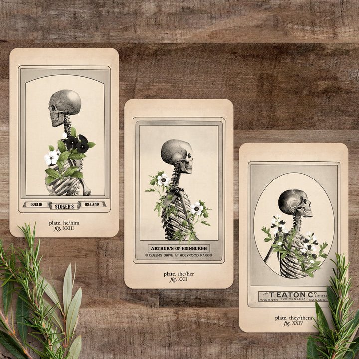 Memento Mori Oracle: Ancestors & Advisors - Black and the Moon