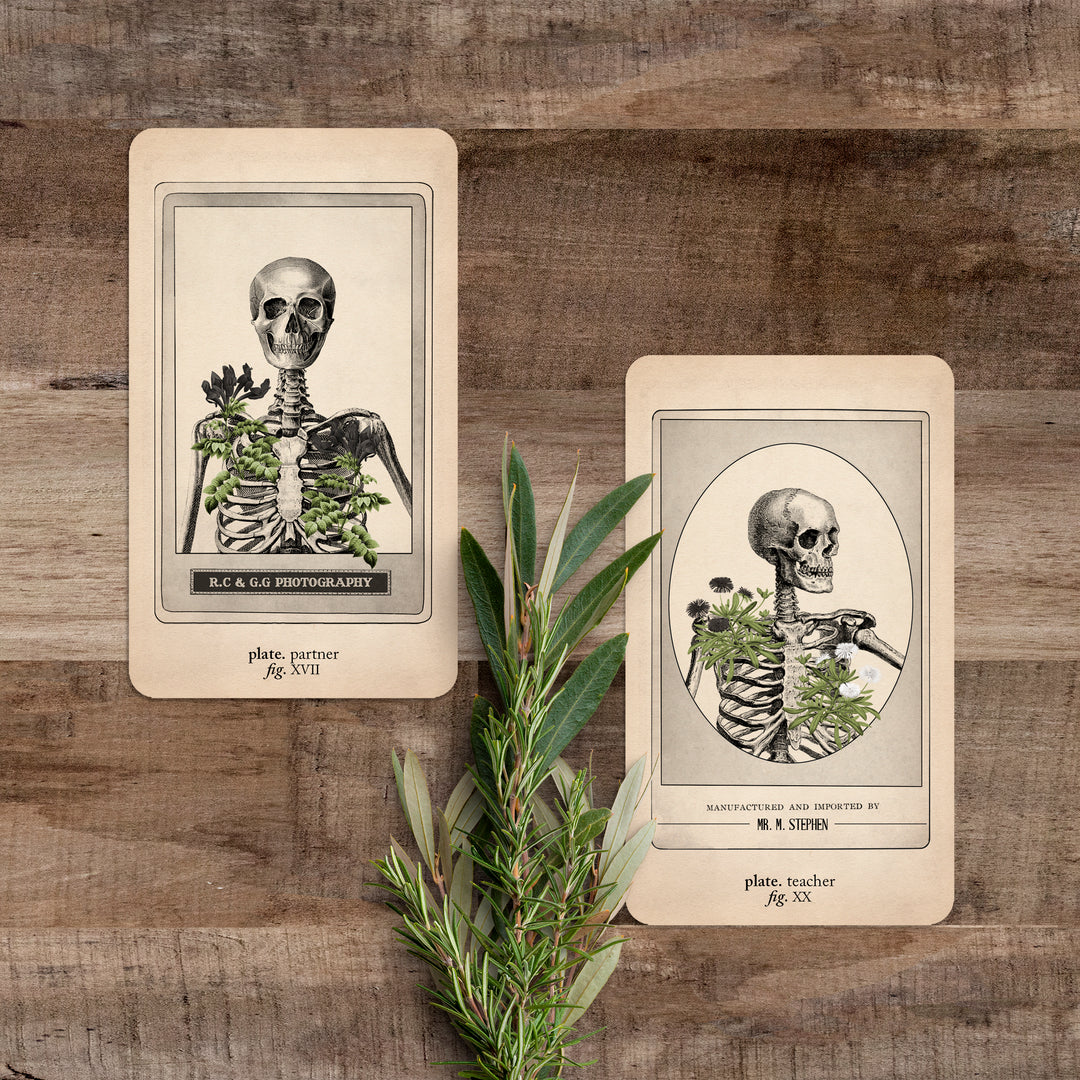 Memento Mori Oracle: Ancestors & Advisors - Black and the Moon
