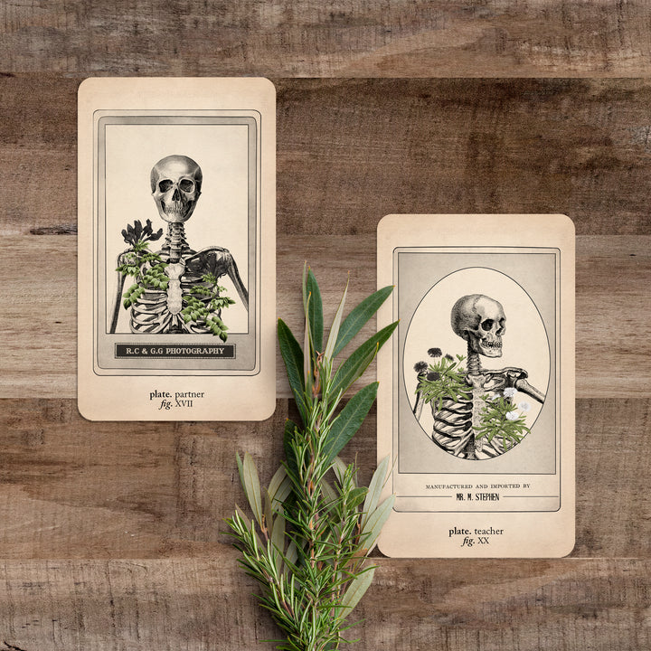 Memento Mori Oracle: Ancestors & Advisors - Black and the Moon
