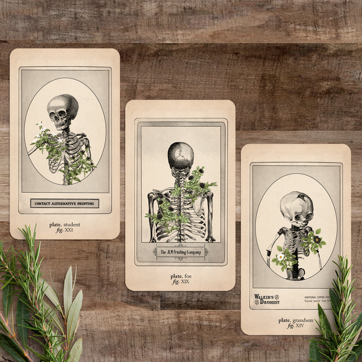 Memento Mori Oracle: Ancestors & Advisors - Black and the Moon