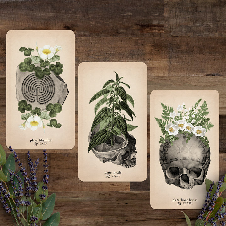 Three cards (labyrinth, nettle, and bone house) against a wooden background with lavender flowers below