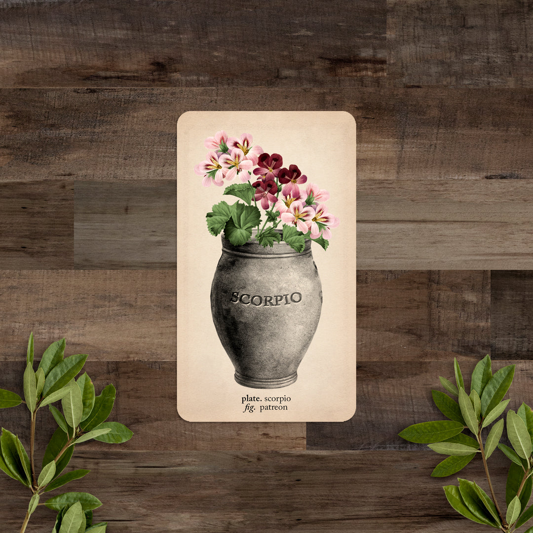 PATREON Single Card: Scorpio - Black and the Moon