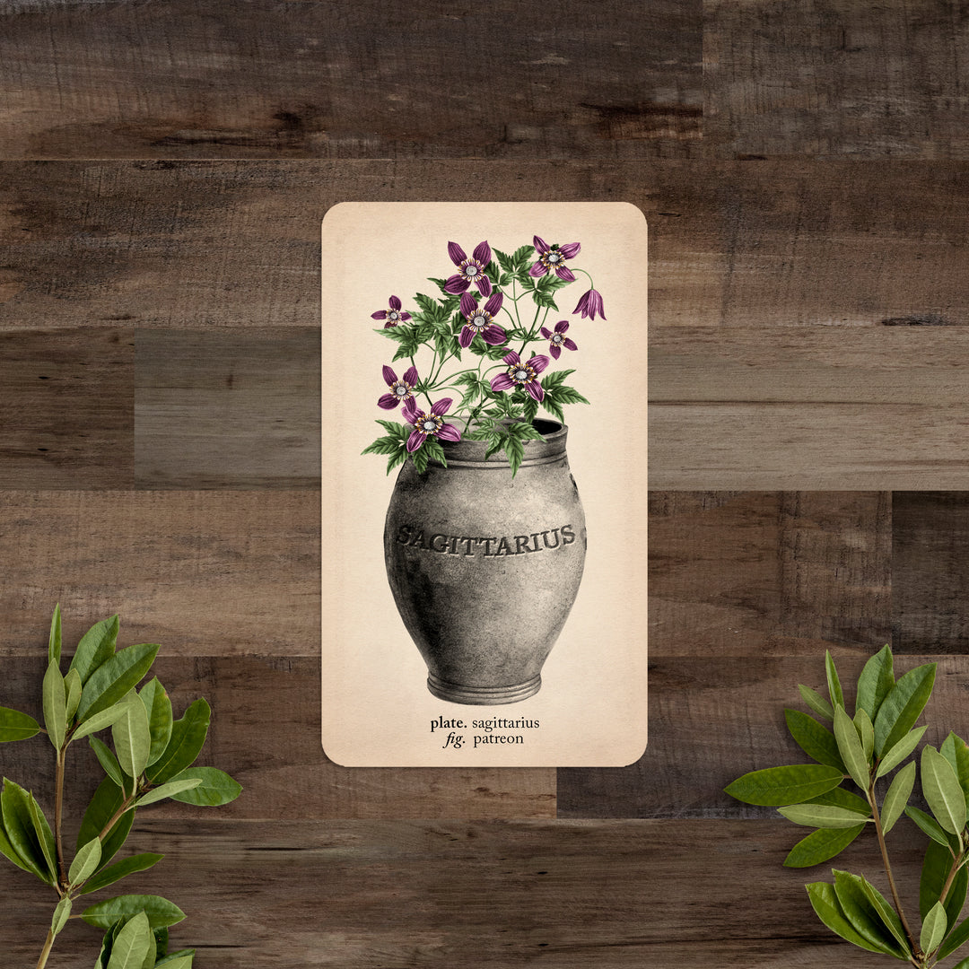 PATREON Single Card: Sagittarius - Black and the Moon