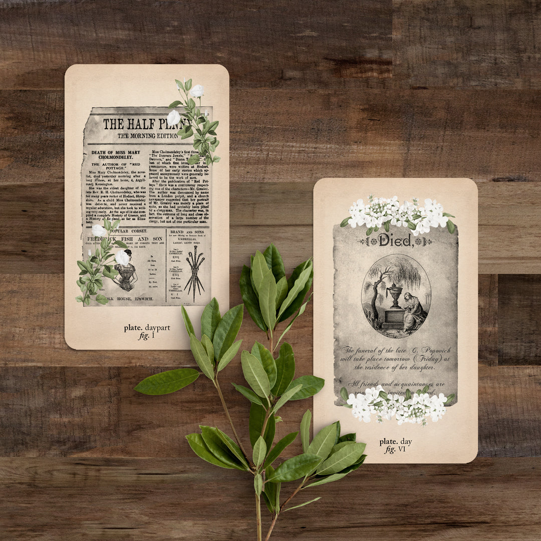 the morning card and the friday card on a wooden background with greenery