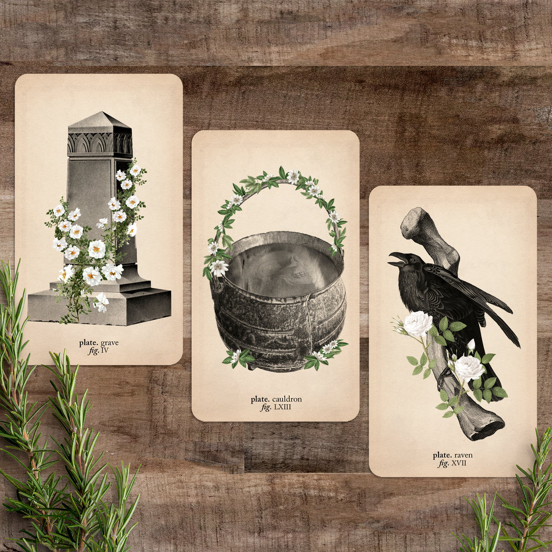 cards from the deck on a brown wood background